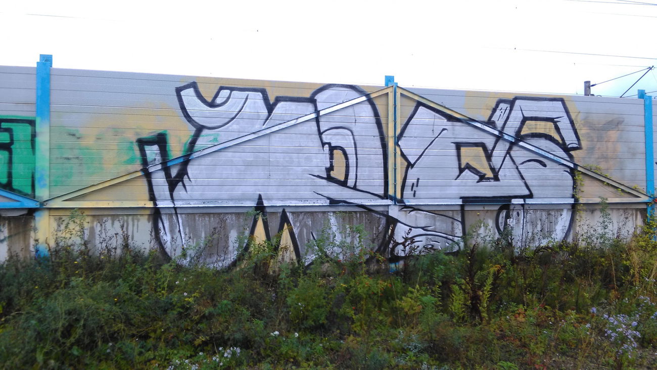 Graffiti Bombing - Photo by Hallunken - Mops