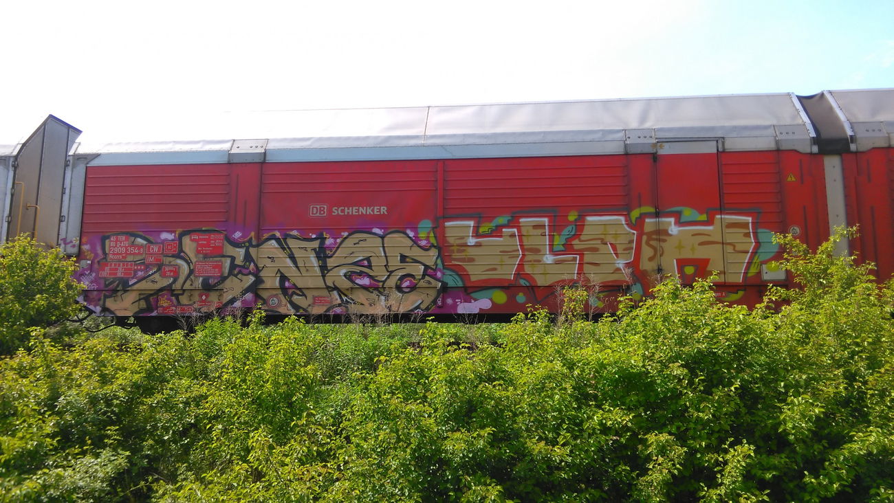 Graffiti Train - Photo by Hallunken - sence, ULPH