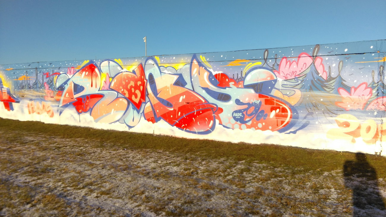 Graffiti Wall - Photo by Hallunken - Rico (2016)