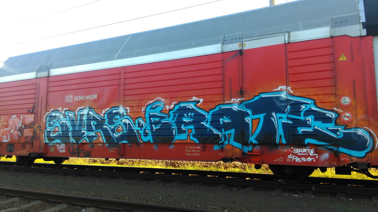 Graffiti Train - Photo by Hallunken - SVRS, Brate (2017)