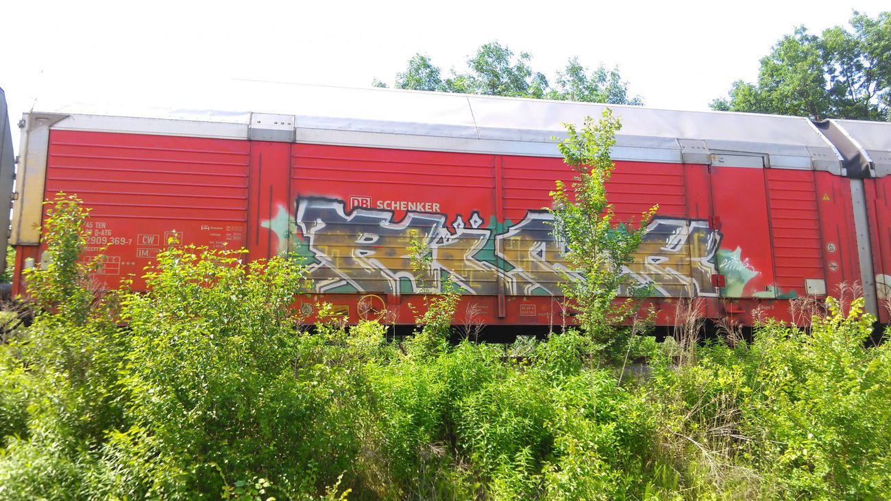 Graffiti Train - Photo by Hallunken - RINK