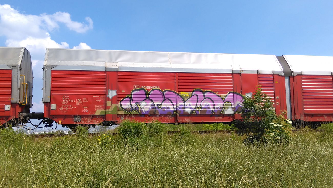 Graffiti Train - Photo by Hallunken - Ceven