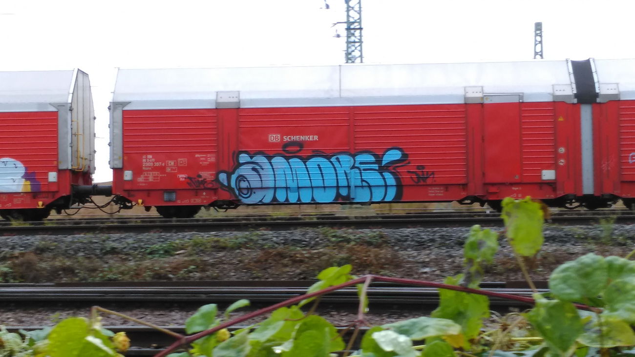 Graffiti Train - Photo by Hallunken - amore (2016)