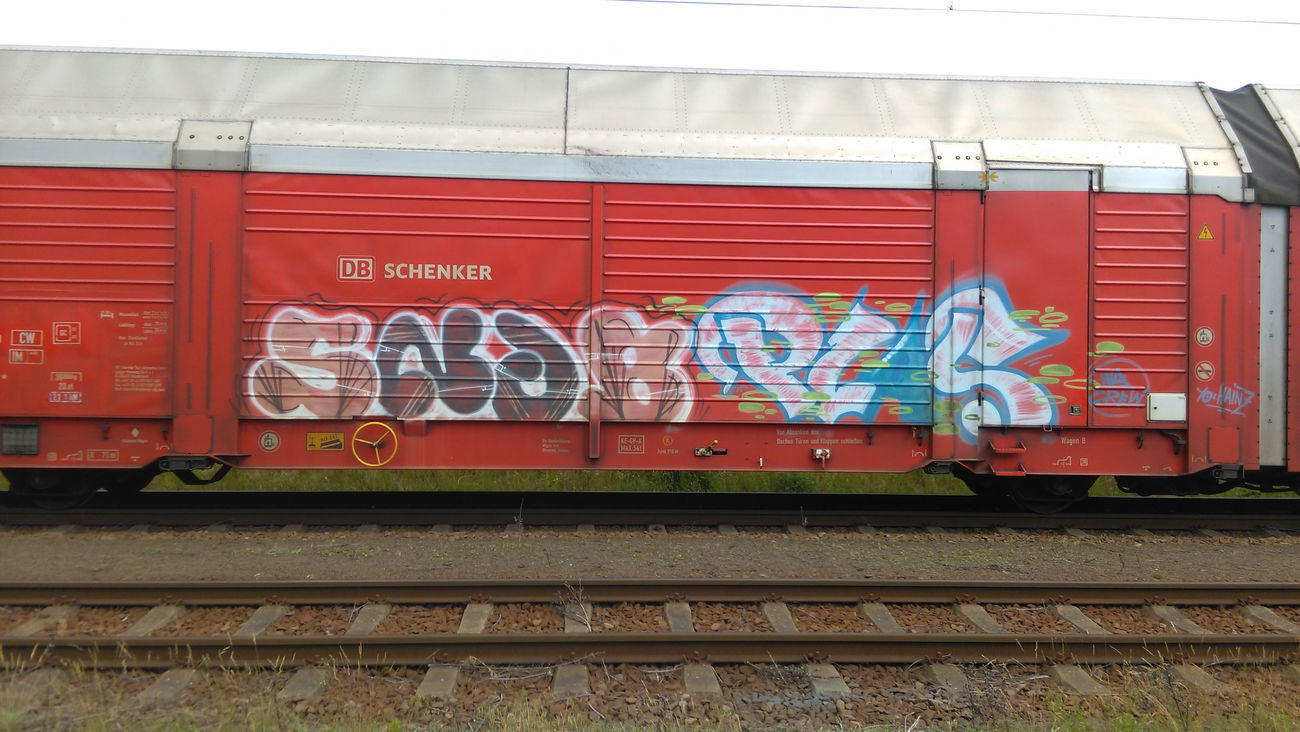Graffiti Train - Photo by Hallunken - snob, Plas