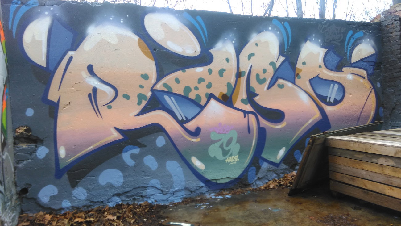 Graffiti Wall - Photo by Hallunken - Rico (2017)