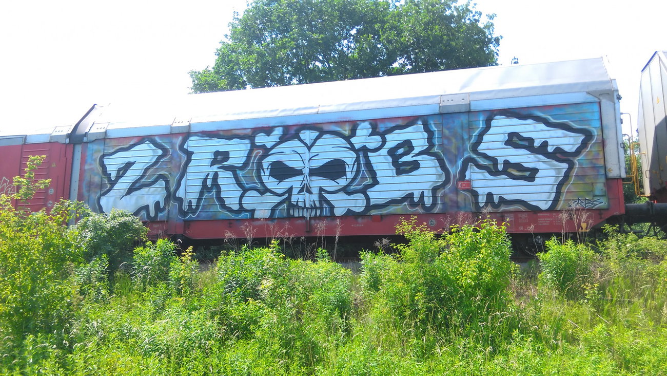 Graffiti Train - Photo by Hallunken - ZR, BS, Güter