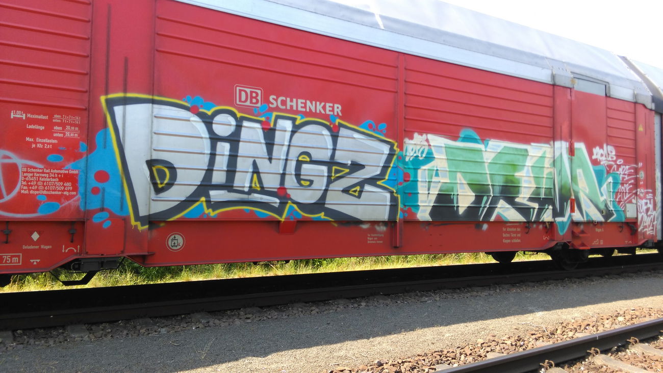 Graffiti Train - Photo by Hallunken - Dingz