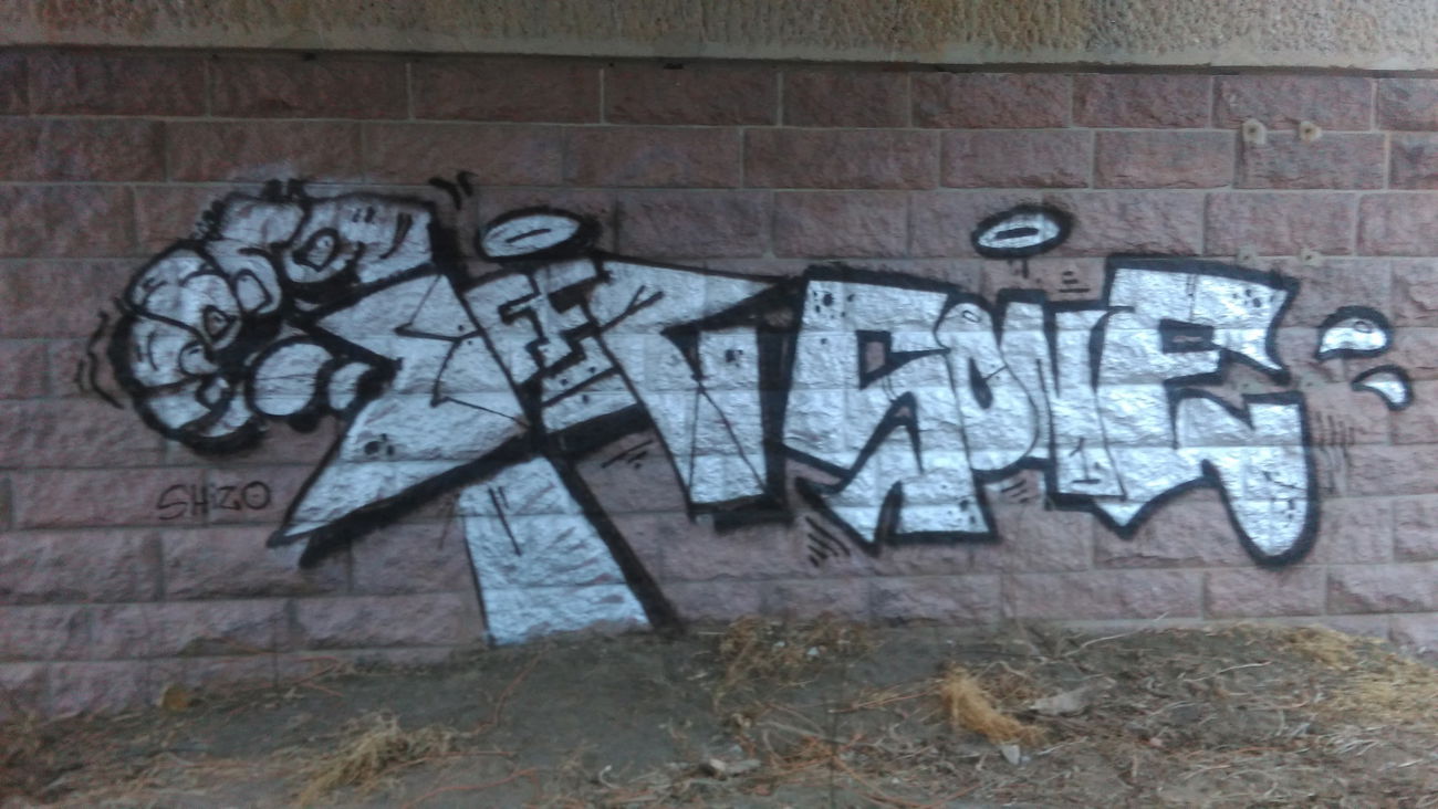 Graffiti Bombing - Photo by Hallunken - EFFR, SONE (2016)