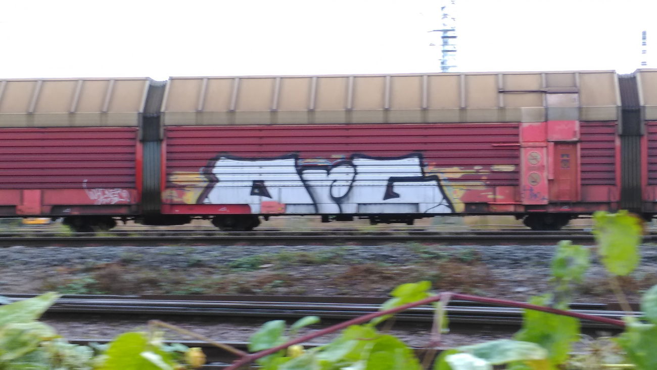 Graffiti Train - Photo by Hallunken - ORG (2016)