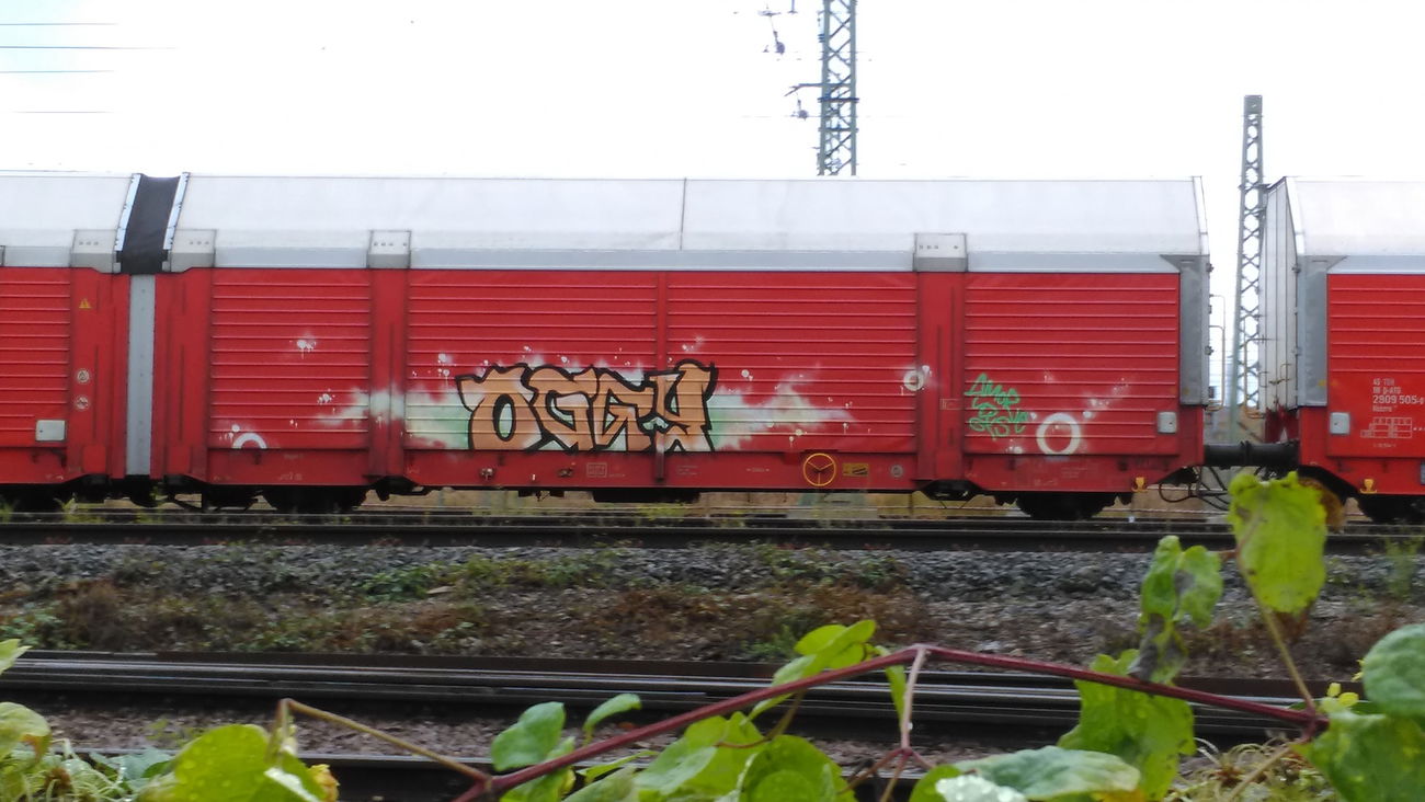 Graffiti Train - Photo by Hallunken - OGGY (2016)