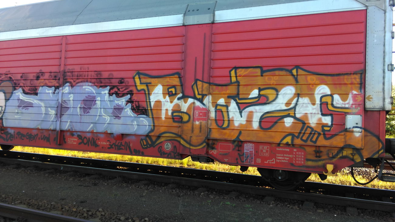 Graffiti Train - Photo by Hallunken - BOSE
