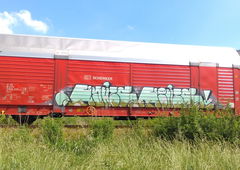 Photo #222262 by TheWallHunter