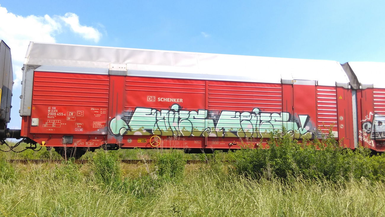 Graffiti Train - Photo by Hallunken - Hains, Heins