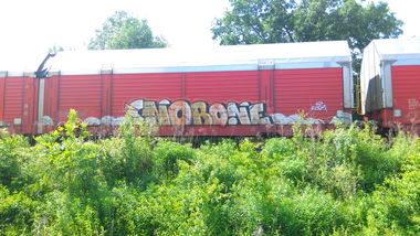 Graffiti Train - Photo by Hallunken - SNOB, one