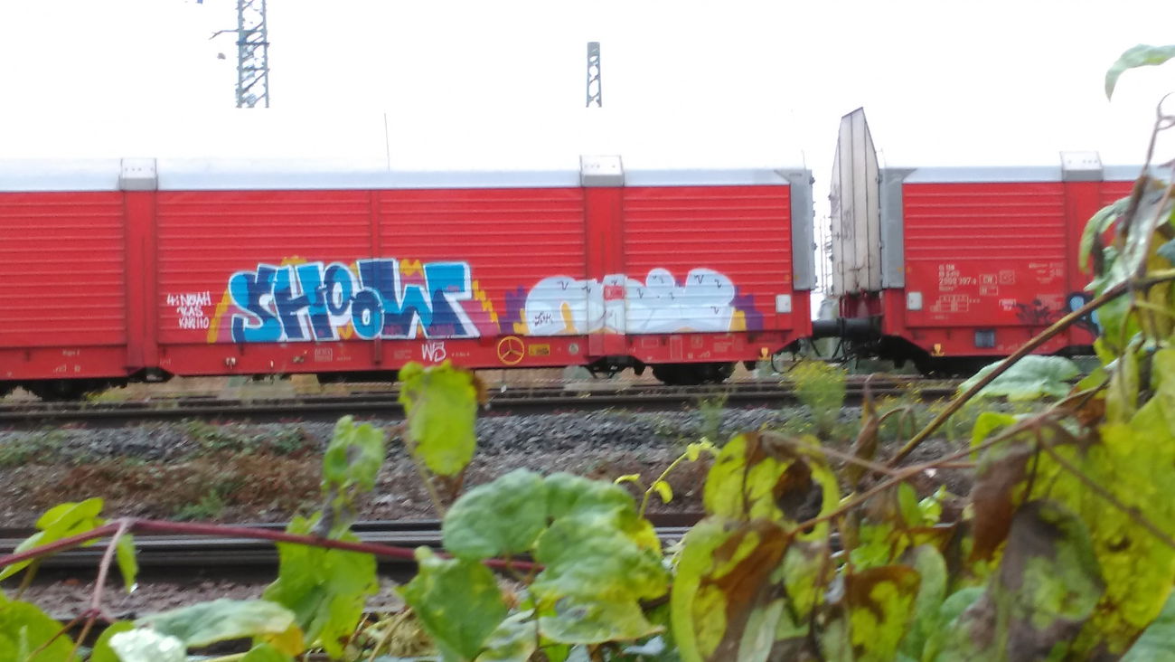 Graffiti Train - Photo by Hallunken - SHOOW, NIZE (2016)