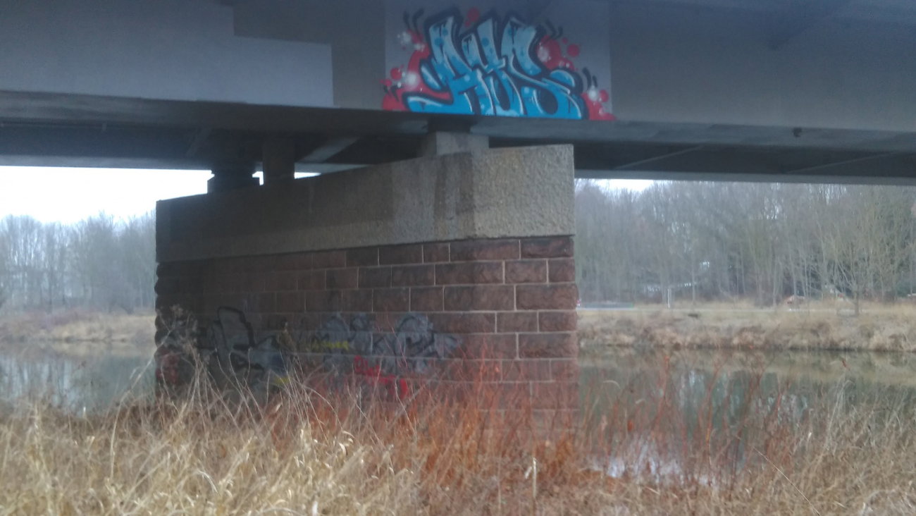 Graffiti Wall - Photo by Hallunken - AYS (2016)