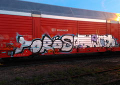 Photo #222219 by TheWallHunter