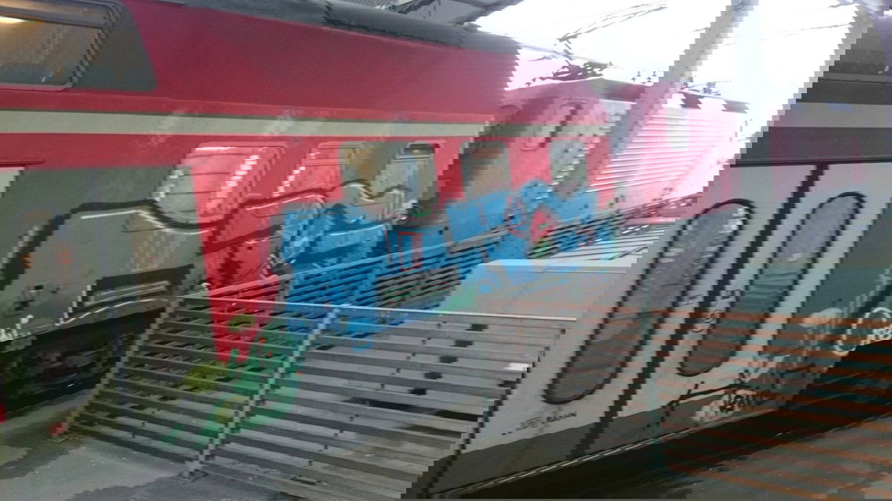 Graffiti Train - Photo by Hallunken - ORG (2014)
