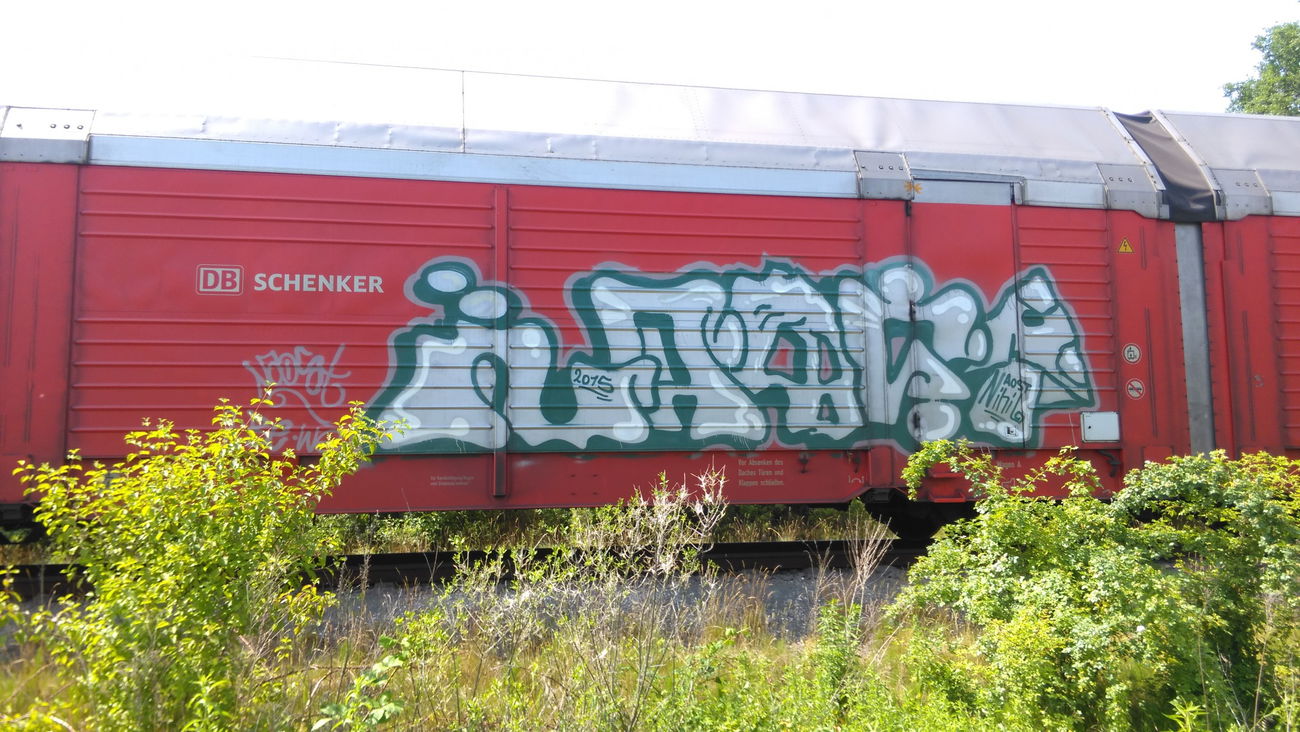 Graffiti Train - Photo by Hallunken - NAOST
