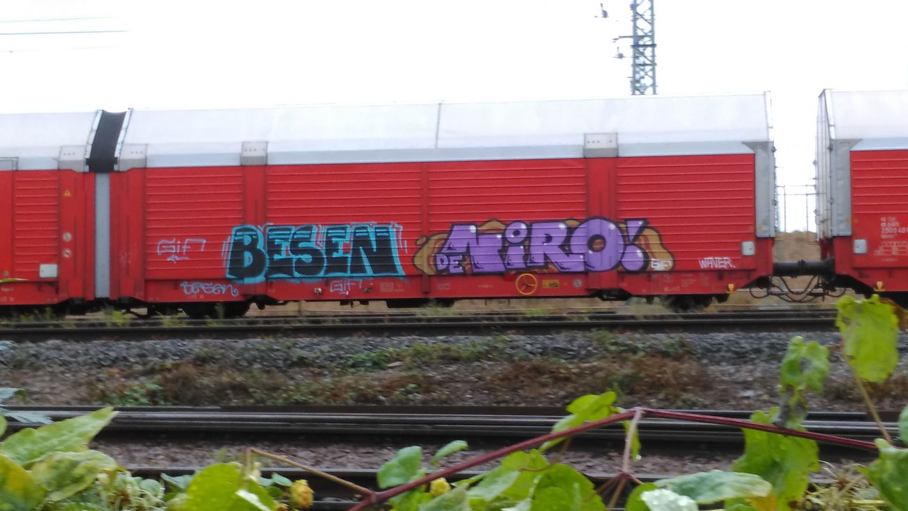 Graffiti Train - Photo by Hallunken - BESEN, NIRO (2016)