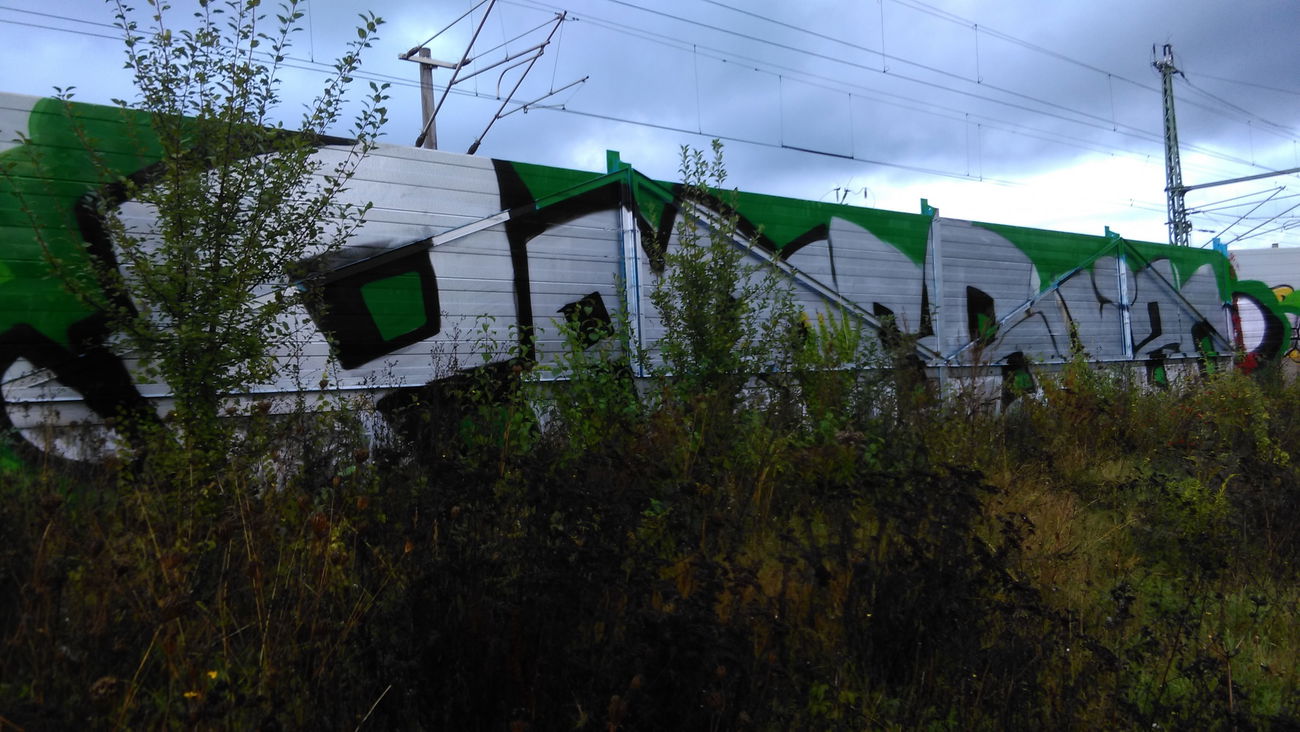 Graffiti Bombing - Photo by Hallunken - Paras, Shizo (2016)