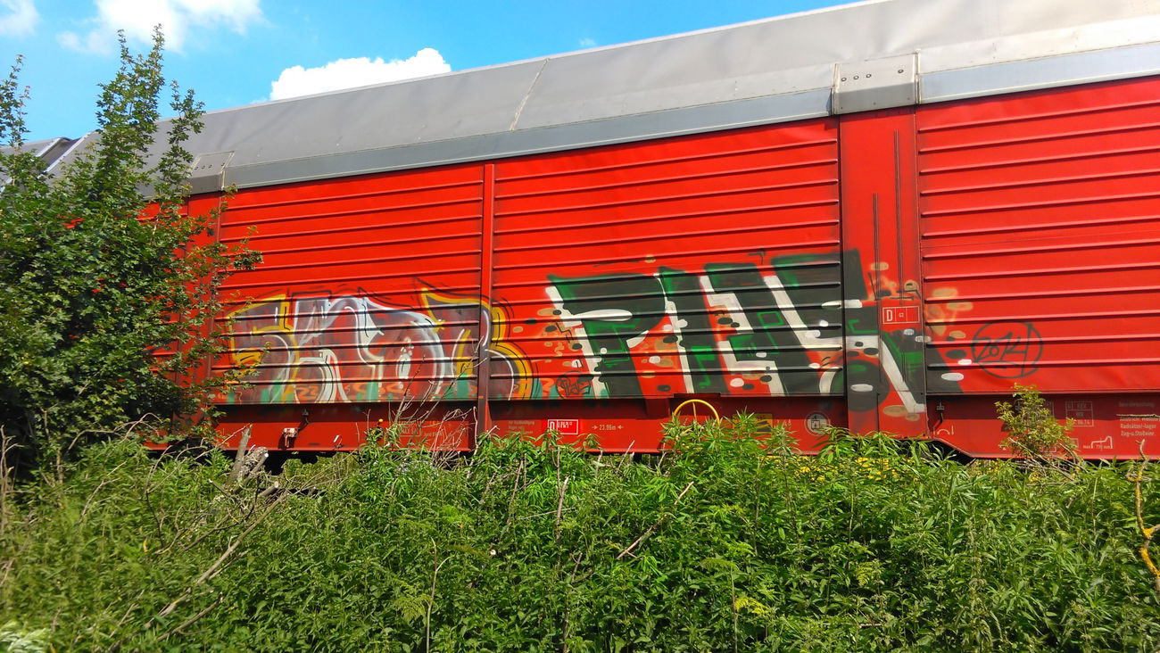 Graffiti Train - Photo by Hallunken - SNOB, PLAS