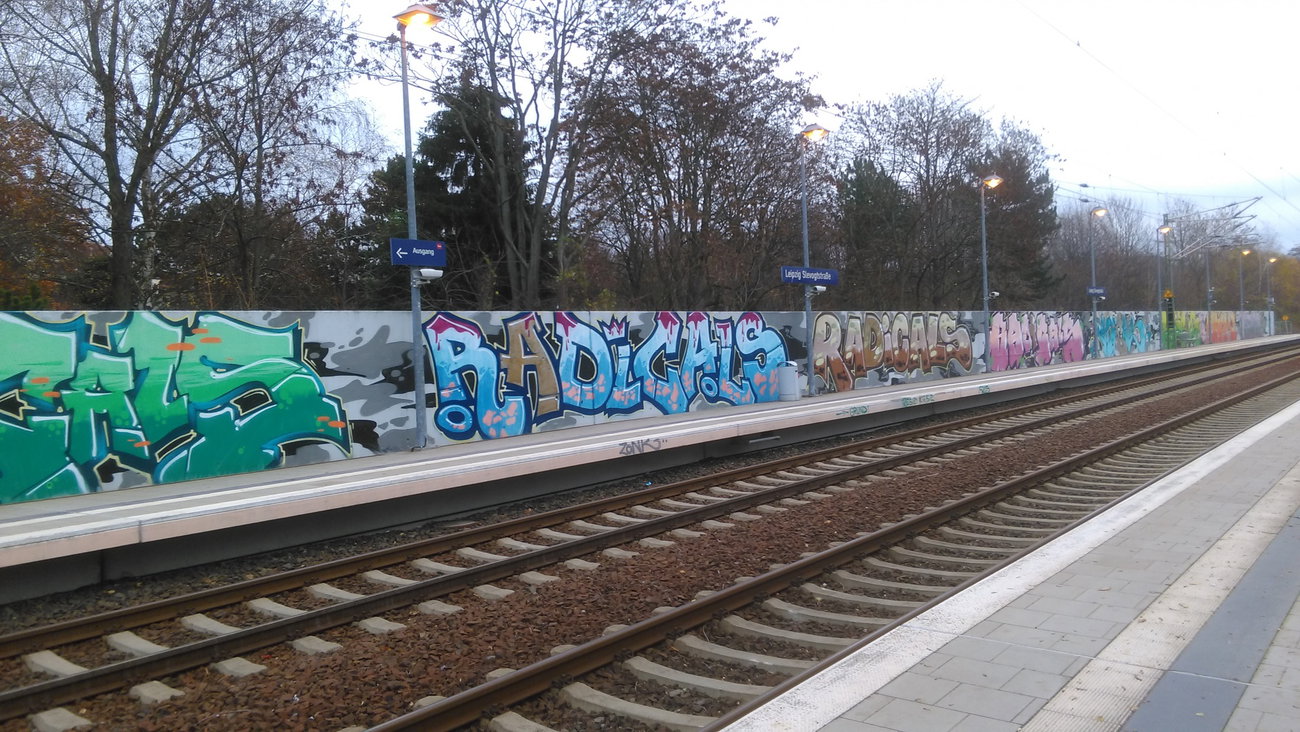 Graffiti Wall - Photo by Hallunken - Radicals (2015)