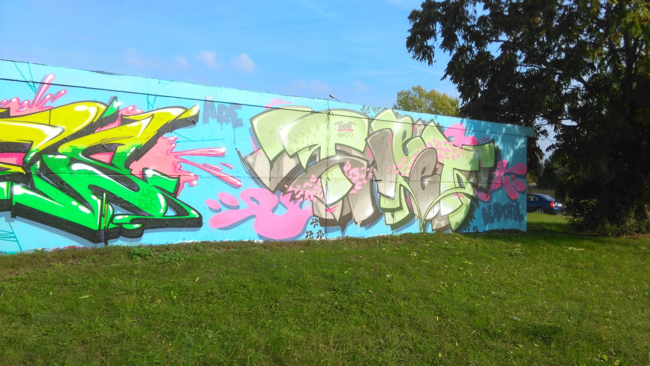 Graffiti Wall - Photo by Hallunken - TWEET (2016)