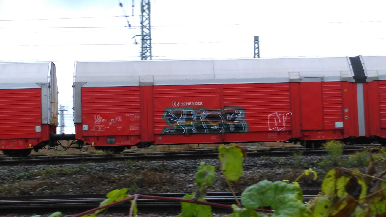 Graffiti Train - Photo by Hallunken - SNOB (2016)
