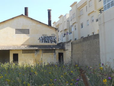 Graffiti Bombing in Meknes - Photo by Hams - Morocco, hams (2013)