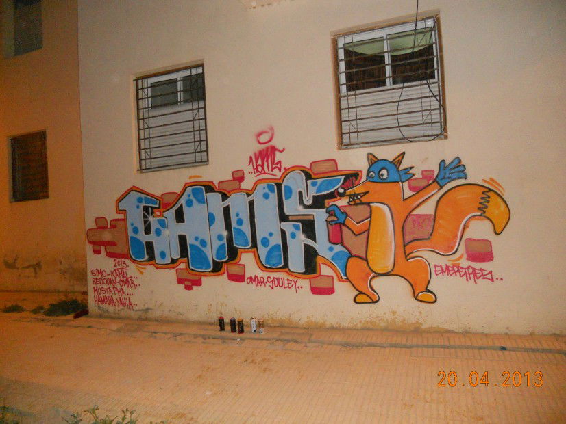 Graffiti Bombing in Fes - Photo by Hams - Hams (2013)