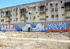 Photo #36026 by TagHagel