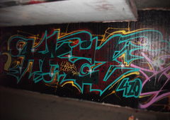 Photo #81242 by Kniegelenk