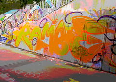 Photo #116906 by Kniegelenk