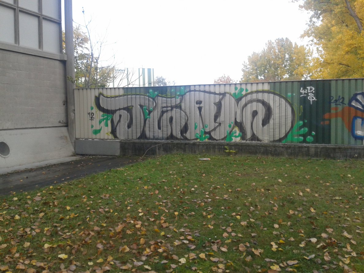 Graffiti Bombing - Photo by Handykamera