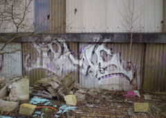 Photo #158179 by quester