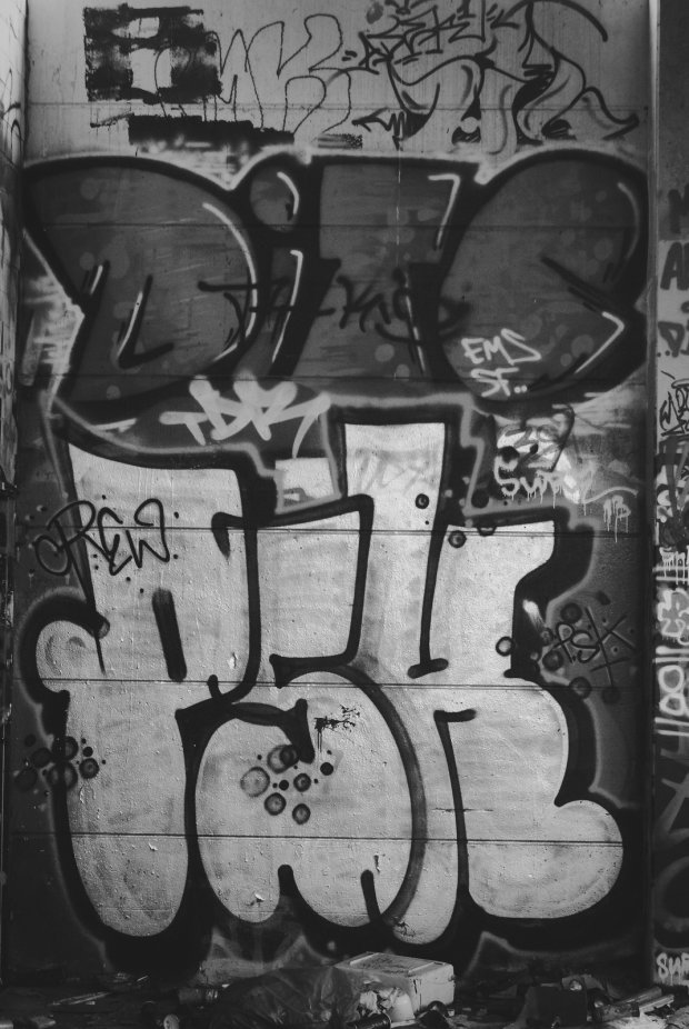 Graffiti Bombing - Photo by HansMeiser