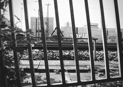 Photo #106695 by Tisot