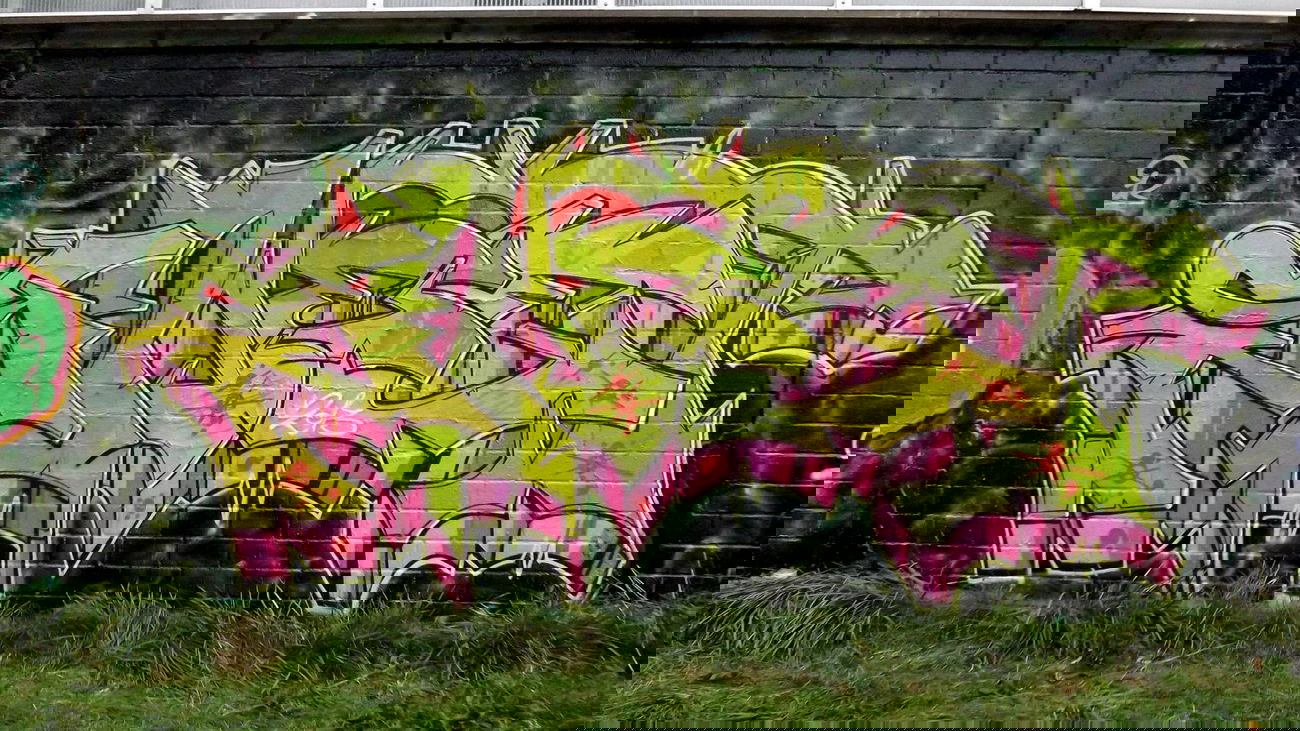 Graffiti Wall - Photo by Hansa82 - SWEE, WIR, CREW