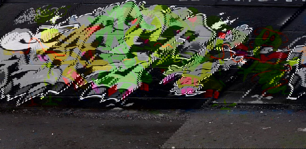 Graffiti Wall - Photo by Hansa82 - SWEET, SWT, NSAcrew (2012)