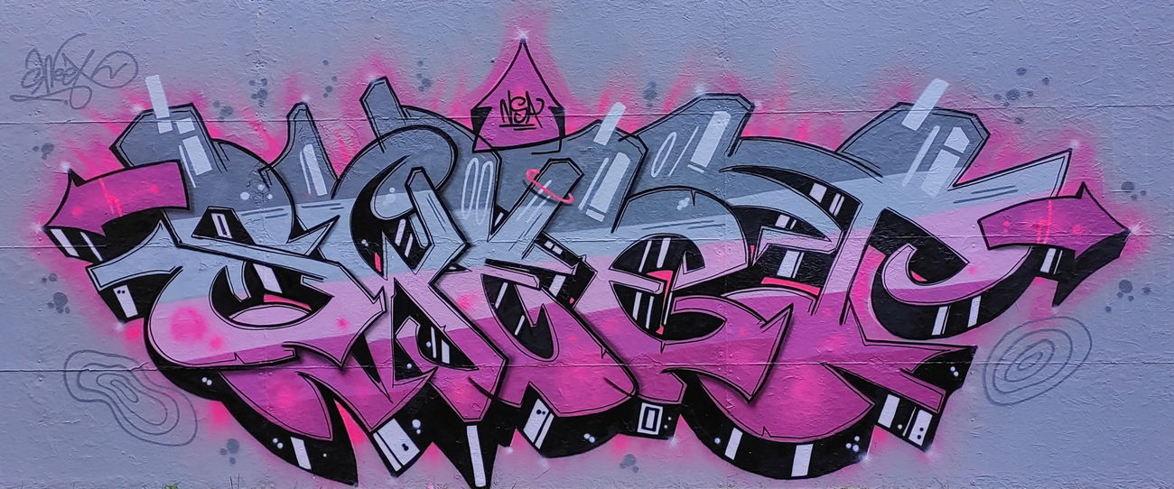 Graffiti Wall - Photo by Hansa82 - STYLEGraffNSAcrew