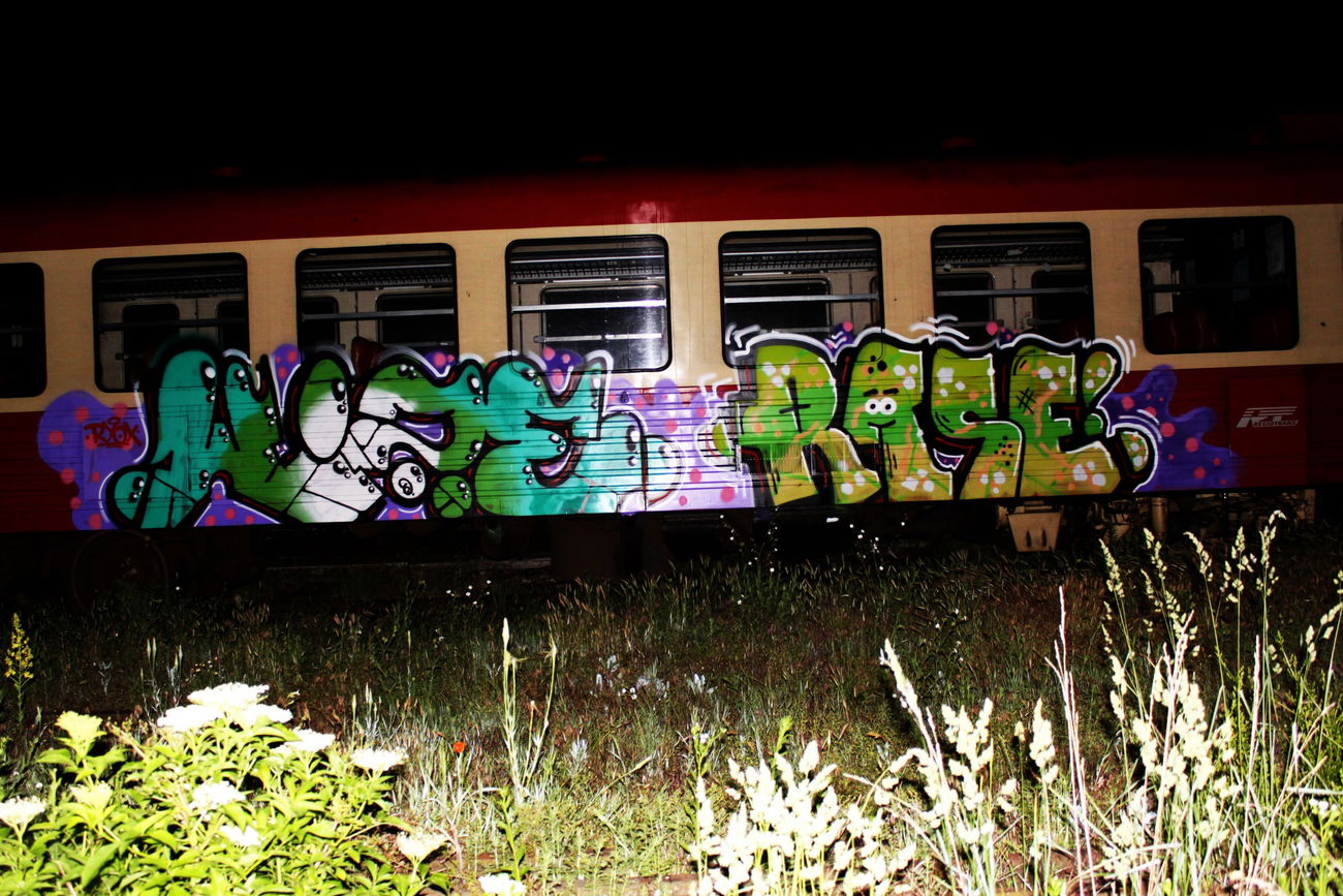Graffiti Train - Photo by Haos1 (2015)