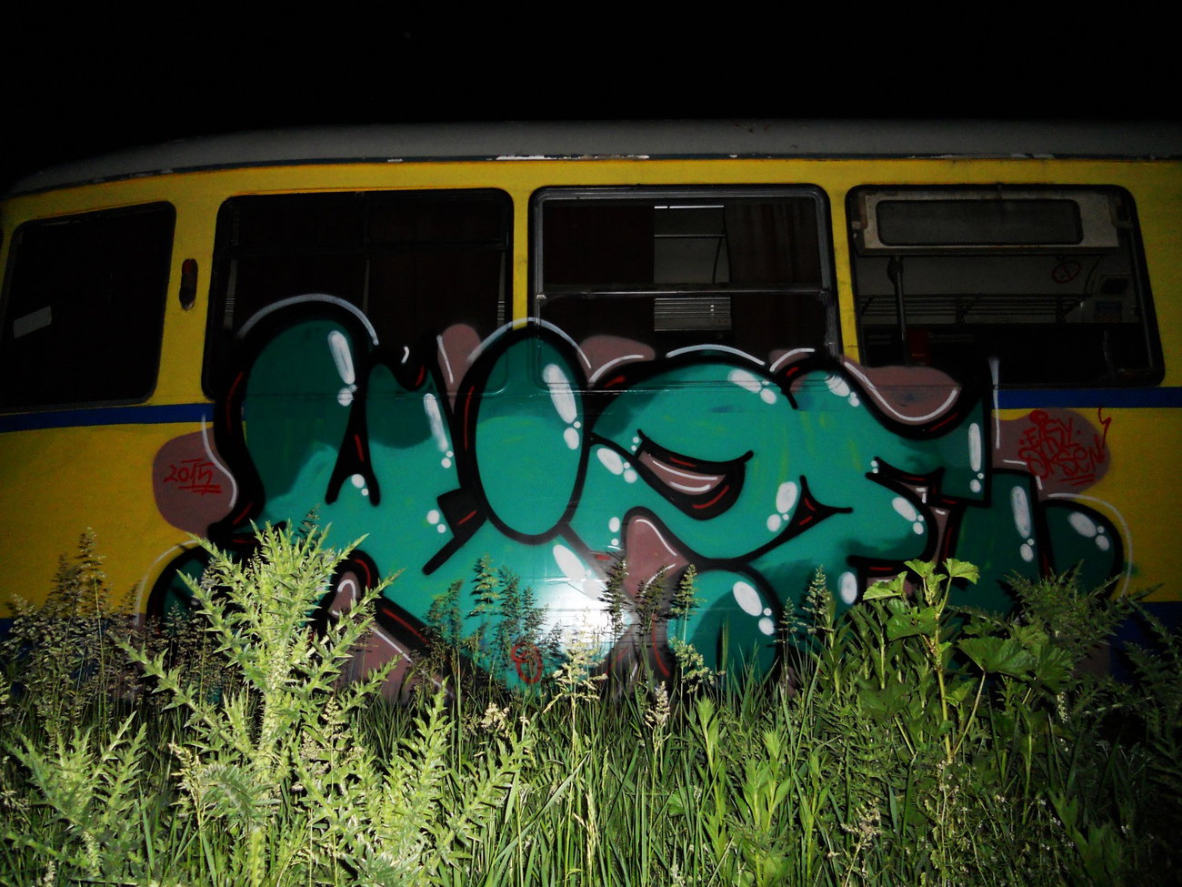Graffiti Train - Photo by Haos1 - wize (2015)