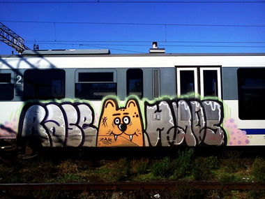 Graffiti Train - Photo by Haos1 - RASE, HAOS (2013)
