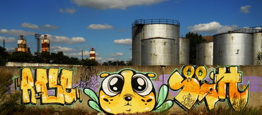 Graffiti Wall in Timi?oara - Photo by Haos1 - RASE, My, Cute (2014)