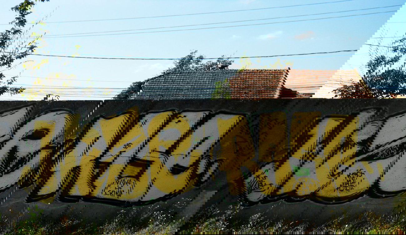 Graffiti Wall in Timi?oara - Photo by Haos1 - WIZE(aka, HAOS), & (2014)
