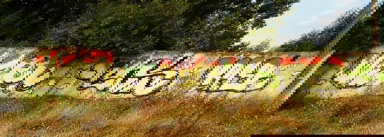 Graffiti Wall in Timi?oara - Photo by Haos1 - WIZER(aka, HAOS), & (2014)