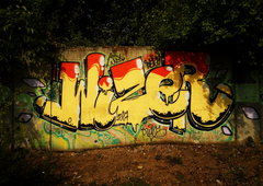 Photo #113945 by WIZERogtoy1