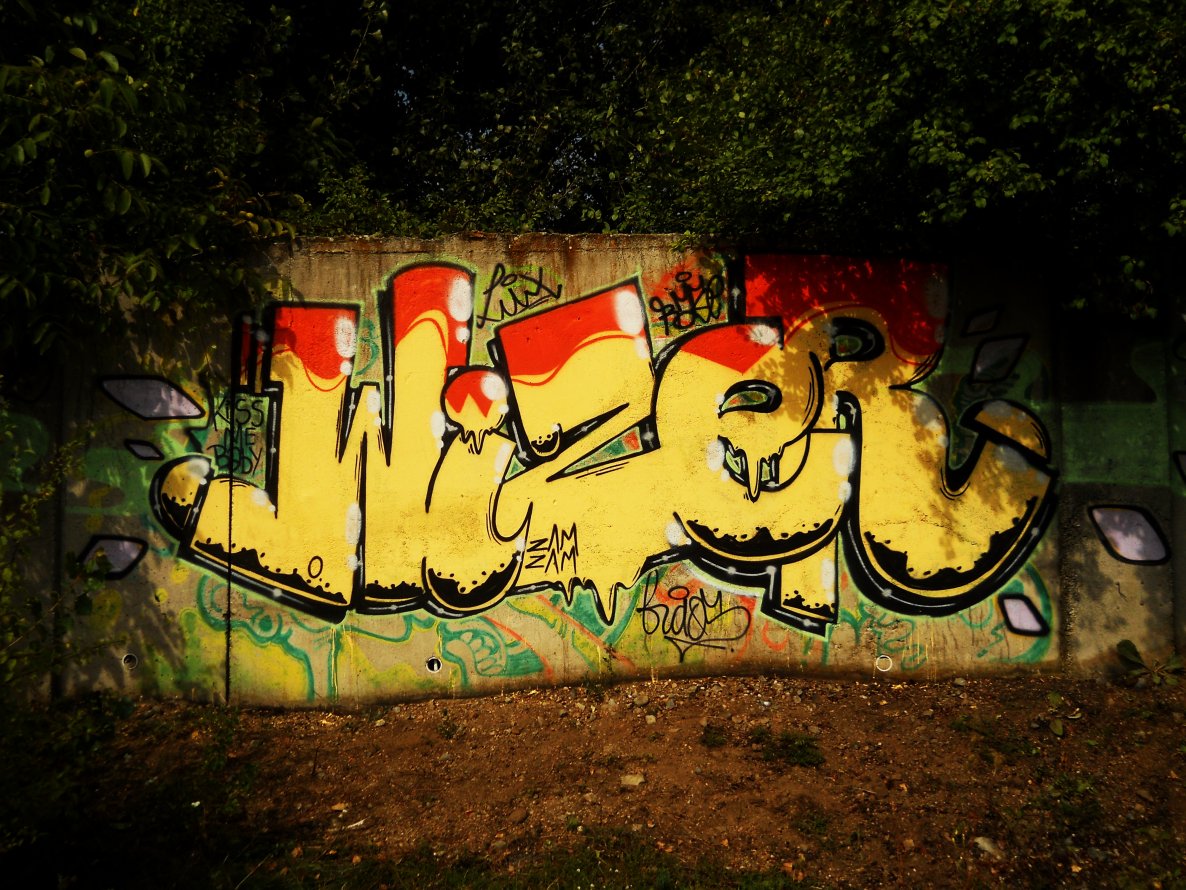 Graffiti Wall in Timi?oara - Photo by Haos1 - WIZE, aka, HAOS (2014)