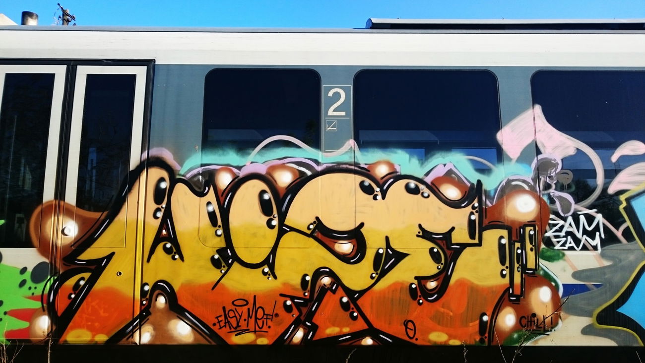 Graffiti Train in Timisoara - Photo by Haos1 - wize, rase, mef (2015)